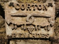 Corton Renardes - Domaine Colin